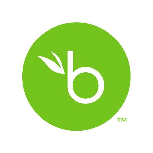 Bamboo